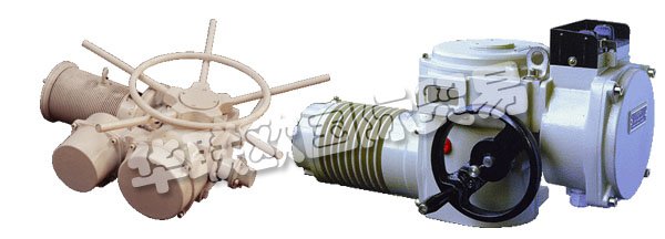 歐洲捷克ZPA-PECKY公司的產(chǎn)品主要有：ZPA PECKY執(zhí)行器、ZPA PECKY電機(jī)、伺服電機(jī)、單回轉(zhuǎn)執(zhí)行器、多回轉(zhuǎn)執(zhí)行器、杠桿伺服電機(jī)、線性伺服電機(jī)、伺服電機(jī)的配置器、ZPM變速箱、Mastergear變速箱、單轉(zhuǎn)伺服電機(jī)、多圈伺服電機(jī)、推力伺服電機(jī)。